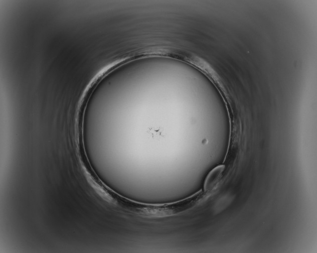 X0000086330795200704131718