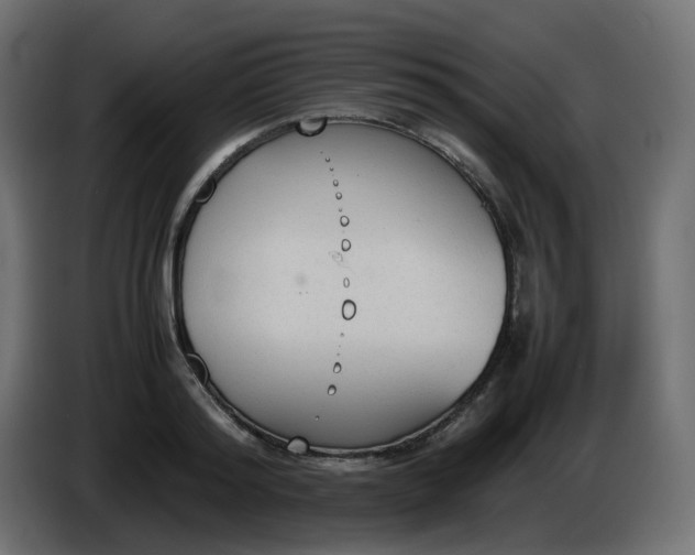 X0000086330796200704131718