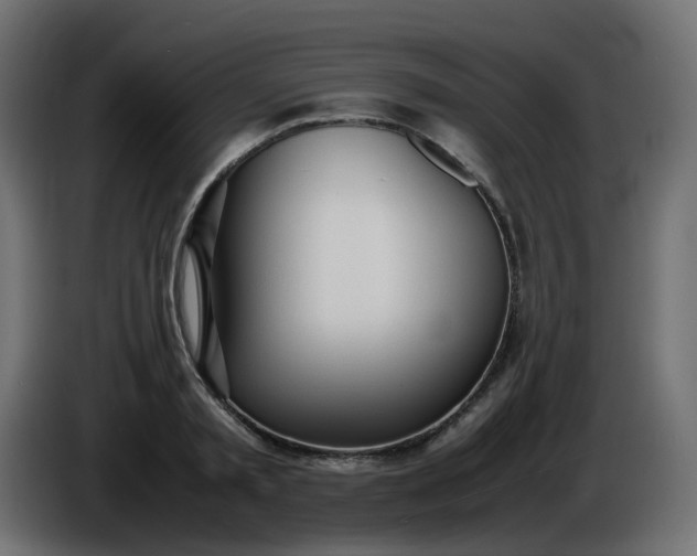 X0000086330797200704131718