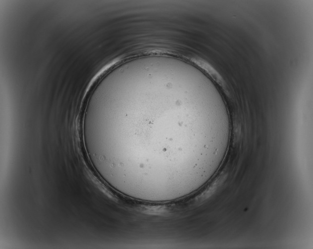 X0000086330798200704131718