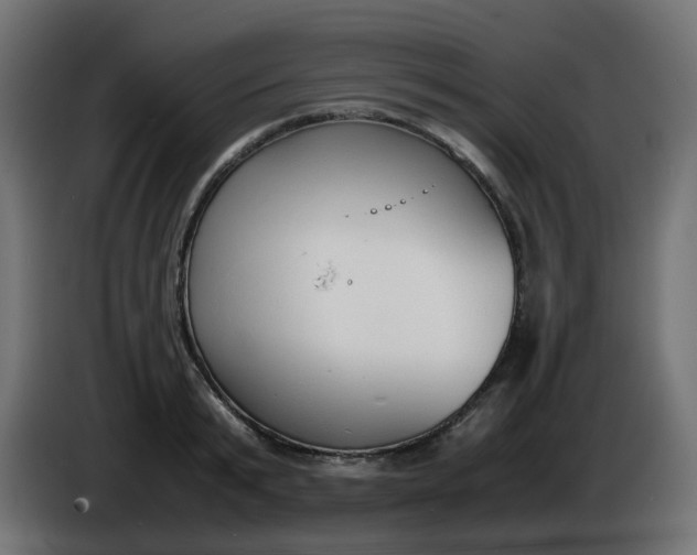 X0000086330799200704131718