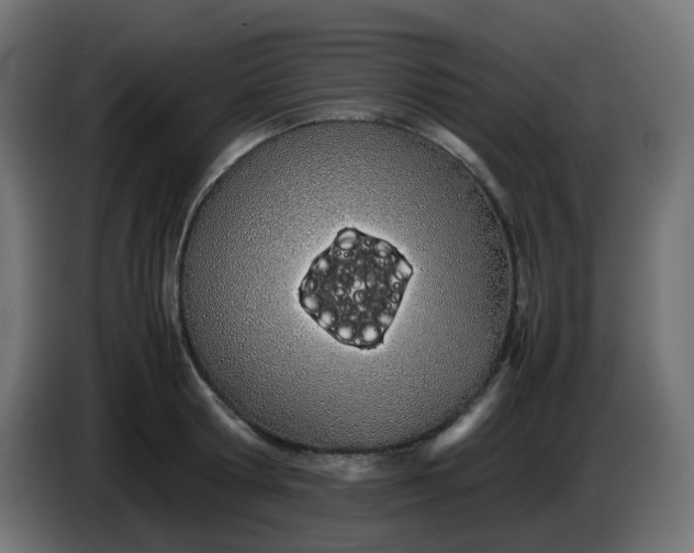 X0000086330802200704131718