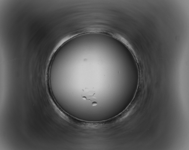 X0000086330803200704131718