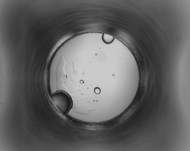 X0000086330804200704131718