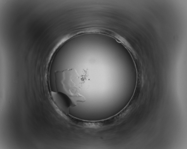 X0000086330805200704131718