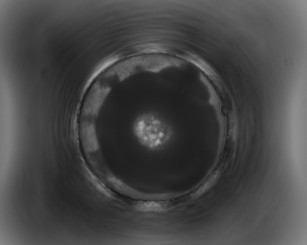 X0000086330806200704131718