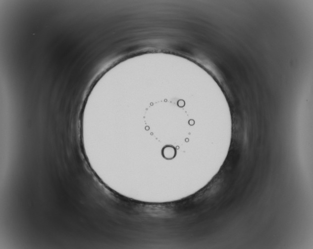 X0000086330807200704131718