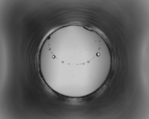 X0000086330808200704131718