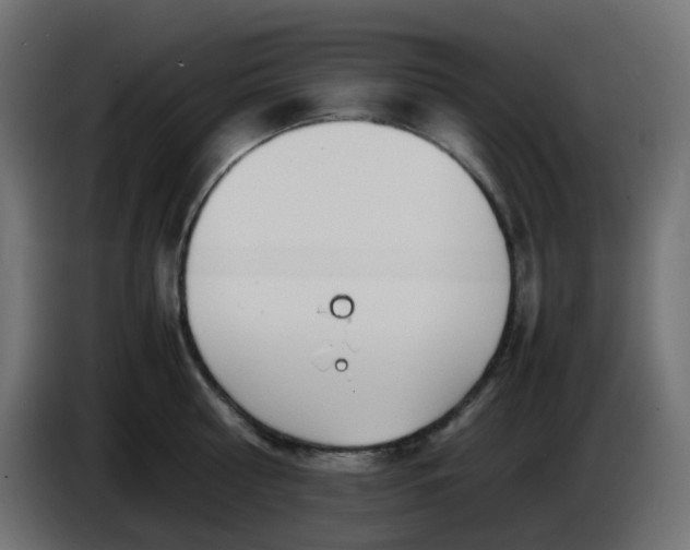 X0000086330810200704131718