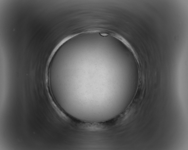 X0000086330811200704131718