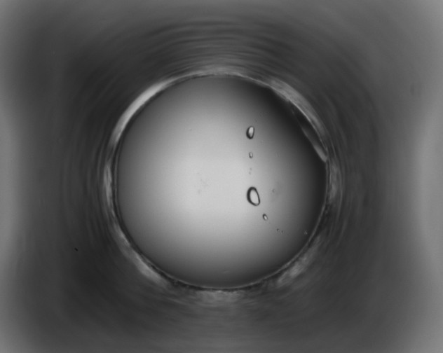 X0000086330812200704131718