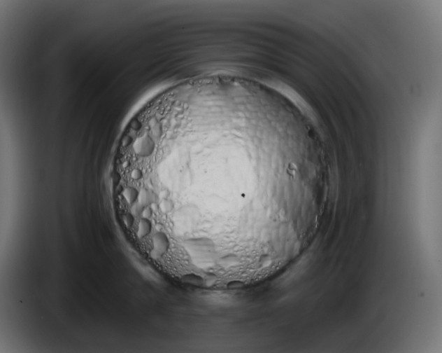 X0000086330814200704131718