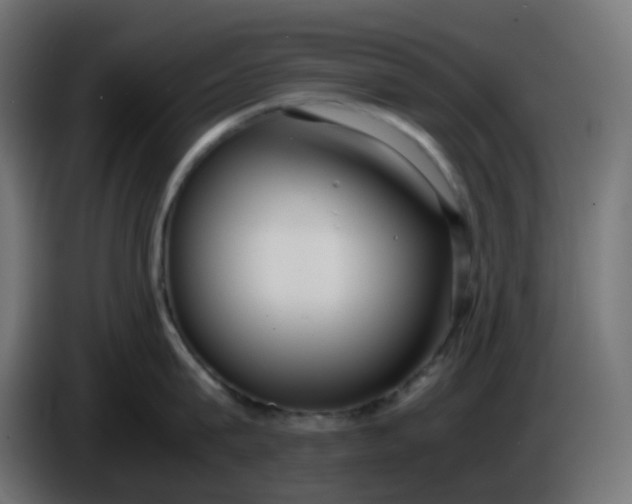 X0000086330815200704131718