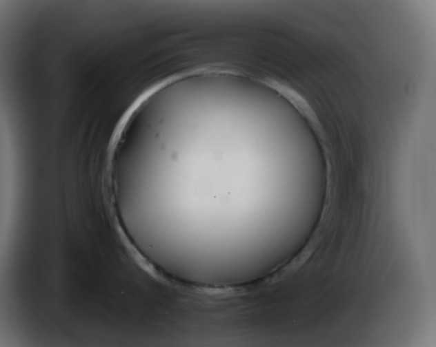 X0000086330816200704131718