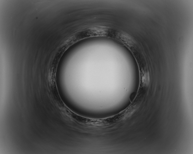 X0000086330819200704131717