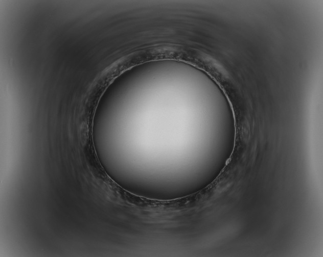 X0000086330821200704131717