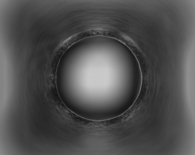 X0000086330822200704131717