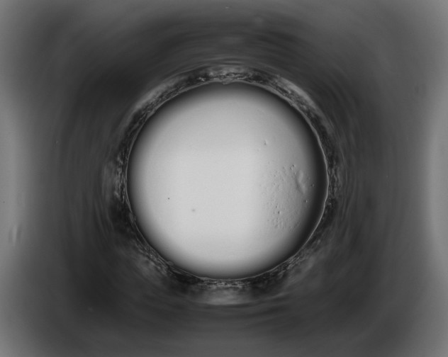 X0000086330823200704131717