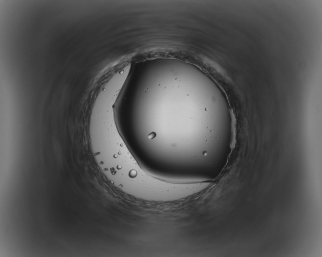 X0000086330824200704131717