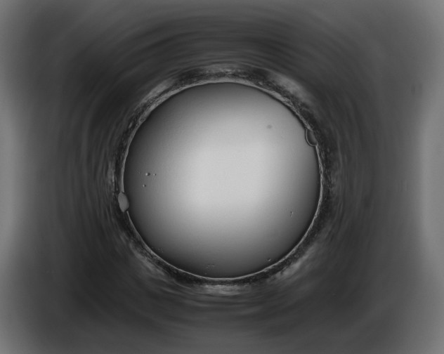 X0000086330825200704131717