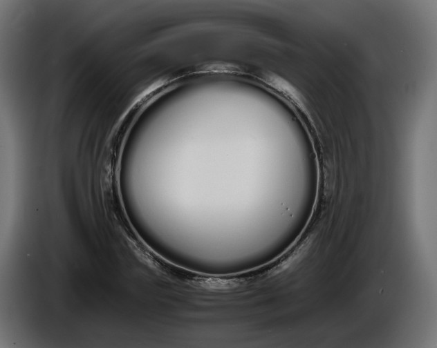 X0000086330827200704131717