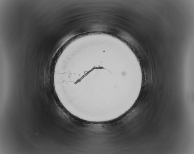 X0000086330828200704131717