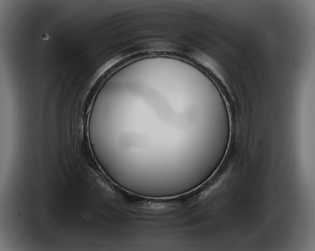 X0000086330829200704131717