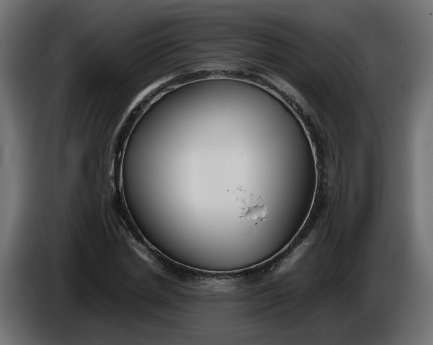 X0000086330830200704131717