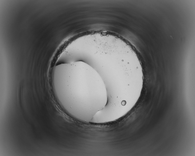 X0000086330832200704131717