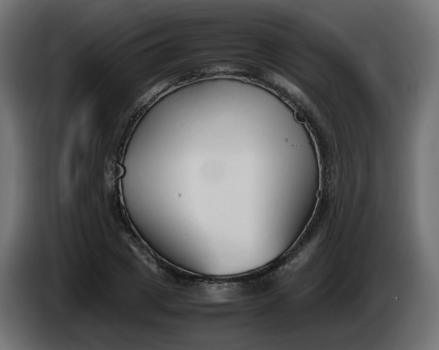 X0000086330833200704131717