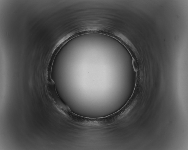 X0000086330834200704131717