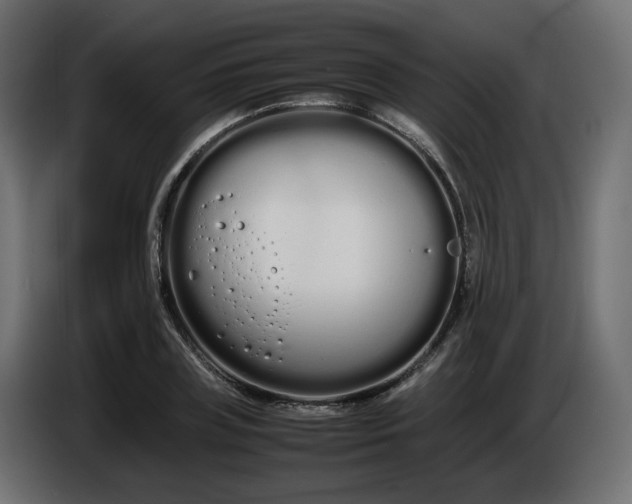 X0000086330835200704131717