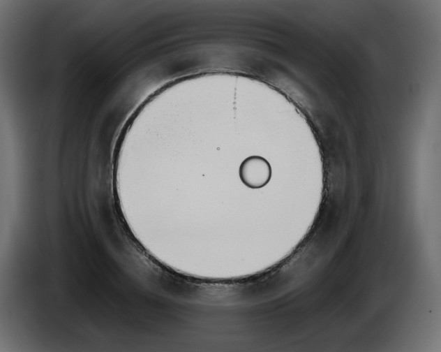 X0000086330836200704131717