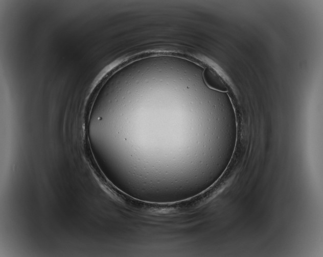 X0000086330837200704131717