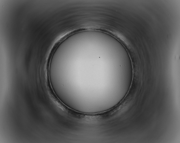 X0000086330840200704131717