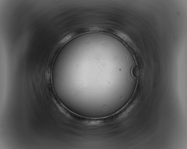 X0000086330841200704131717