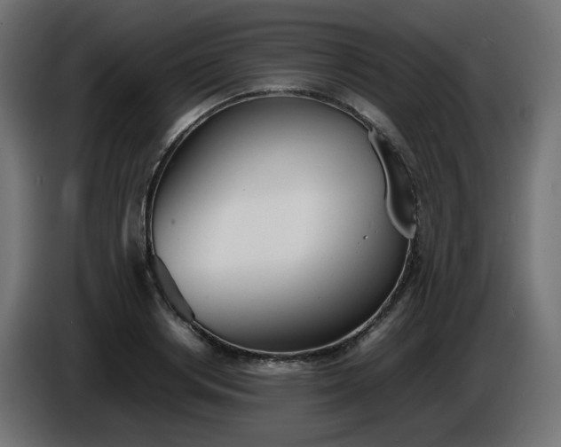 X0000086330842200704131717