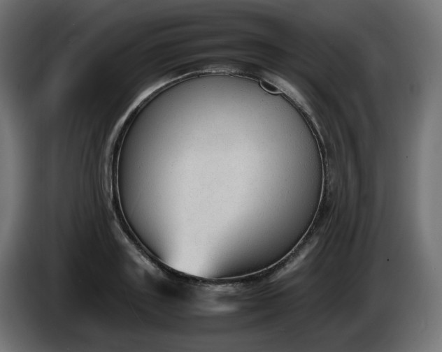 X0000086330843200704131717