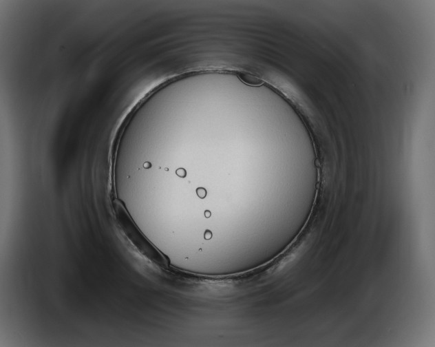 X0000086330844200704131717