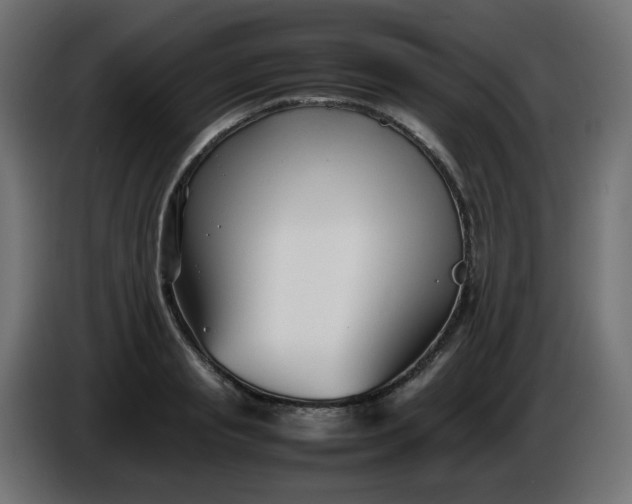 X0000086330845200704131717