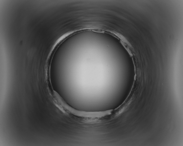 X0000086330846200704131717