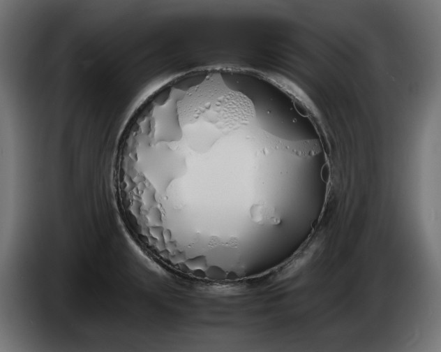 X0000086330847200704131717