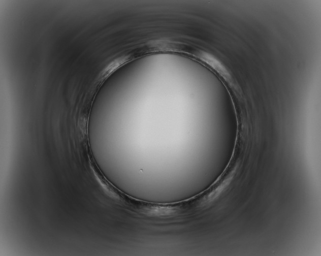 X0000086330849200704131717