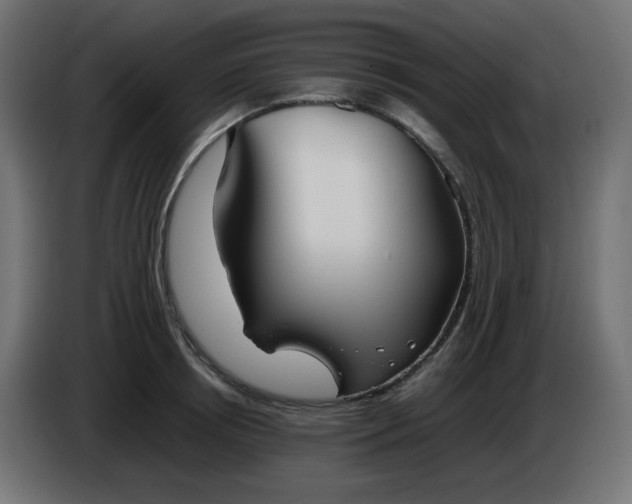 X0000086330850200704131717