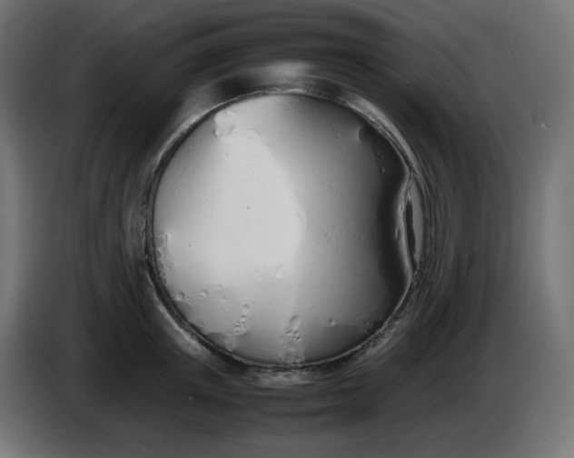 X0000086330851200704131717