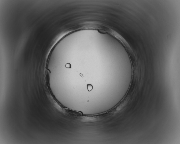 X0000086330852200704131717