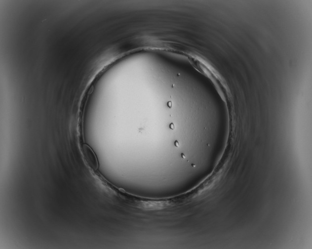 X0000086330853200704131717