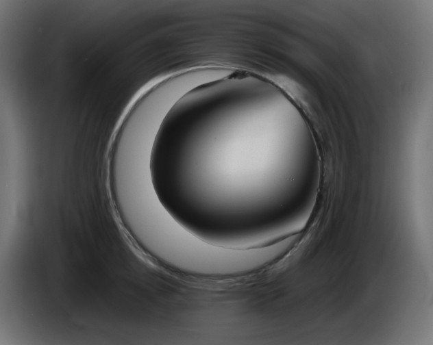 X0000086330854200704131717