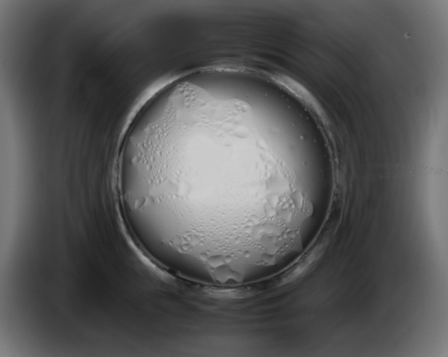 X0000086330855200704131718