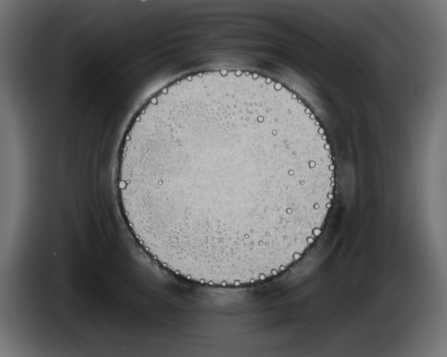 X0000086330856200704131718